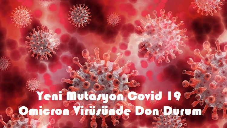 Yeni Mutasyon Covid 19 Omicron Virüsünde Son Durum